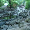 Burook Creek